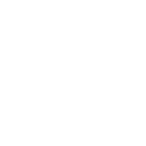 Carolina Ramirez Consulting